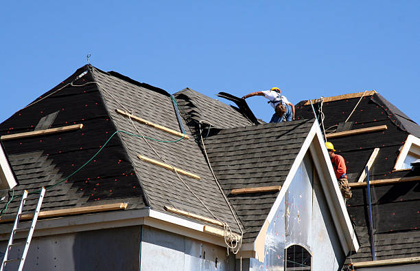 Best New Roof Installation  in Newberry, MI