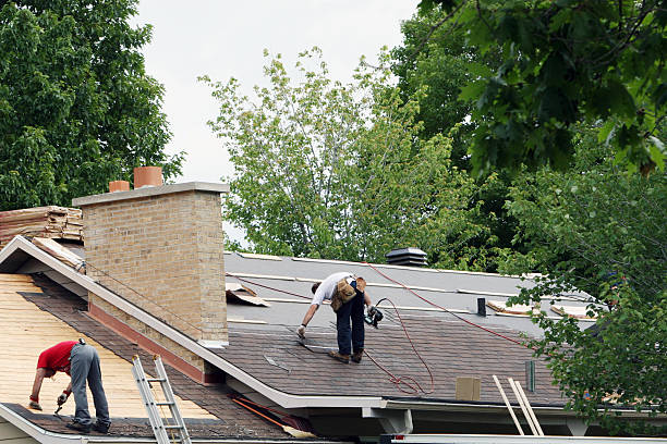 Best Residential Roof Replacement  in Newberry, MI