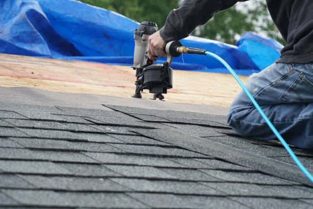 Best Residential Roofing Contractor  in Newberry, MI